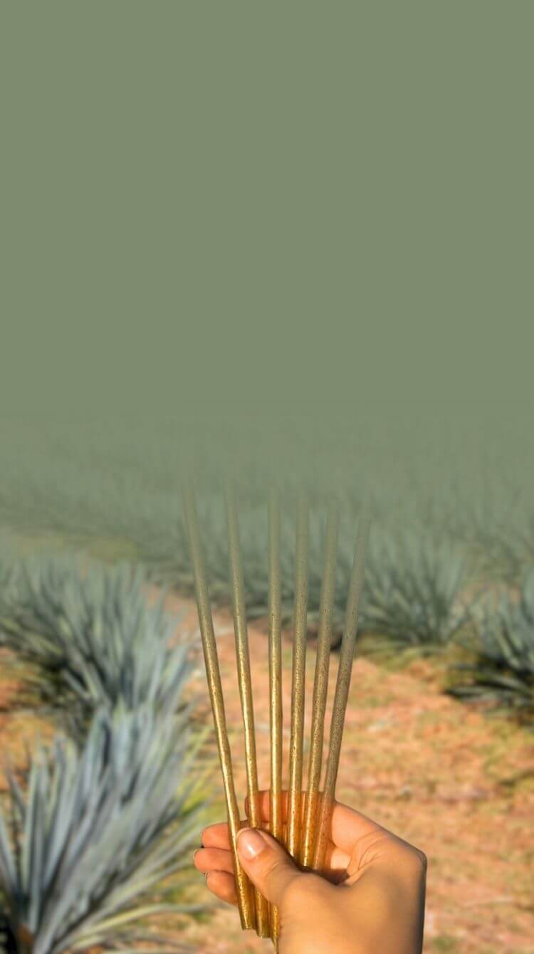 Utilize para e depois da inven��o da tequila?surge a palhinha!