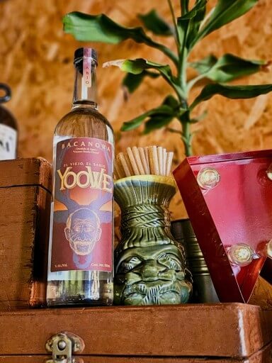 Garrafa de Yoowe Bacanora ao lado de um copo tiki com palhinhas de agave, com uma planta decorativa ao fundo