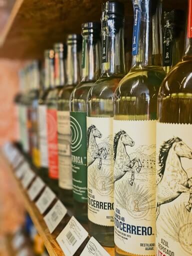 Bottles of Caballito agave distillate lined up.