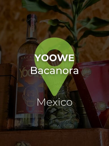 Bottle of Yoowe Bacanora next to a tiki glass with agave straws, with a decorative plant in the background_1