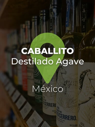 Garrafas de destilado de agave Caballito alinhadas._1