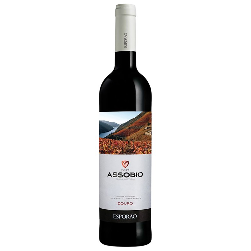 Vinho Tinto Assobio 2022 75Cl 13%