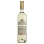 White Wine Bottega Sauvignon Blanc 2022 75Cl 13%