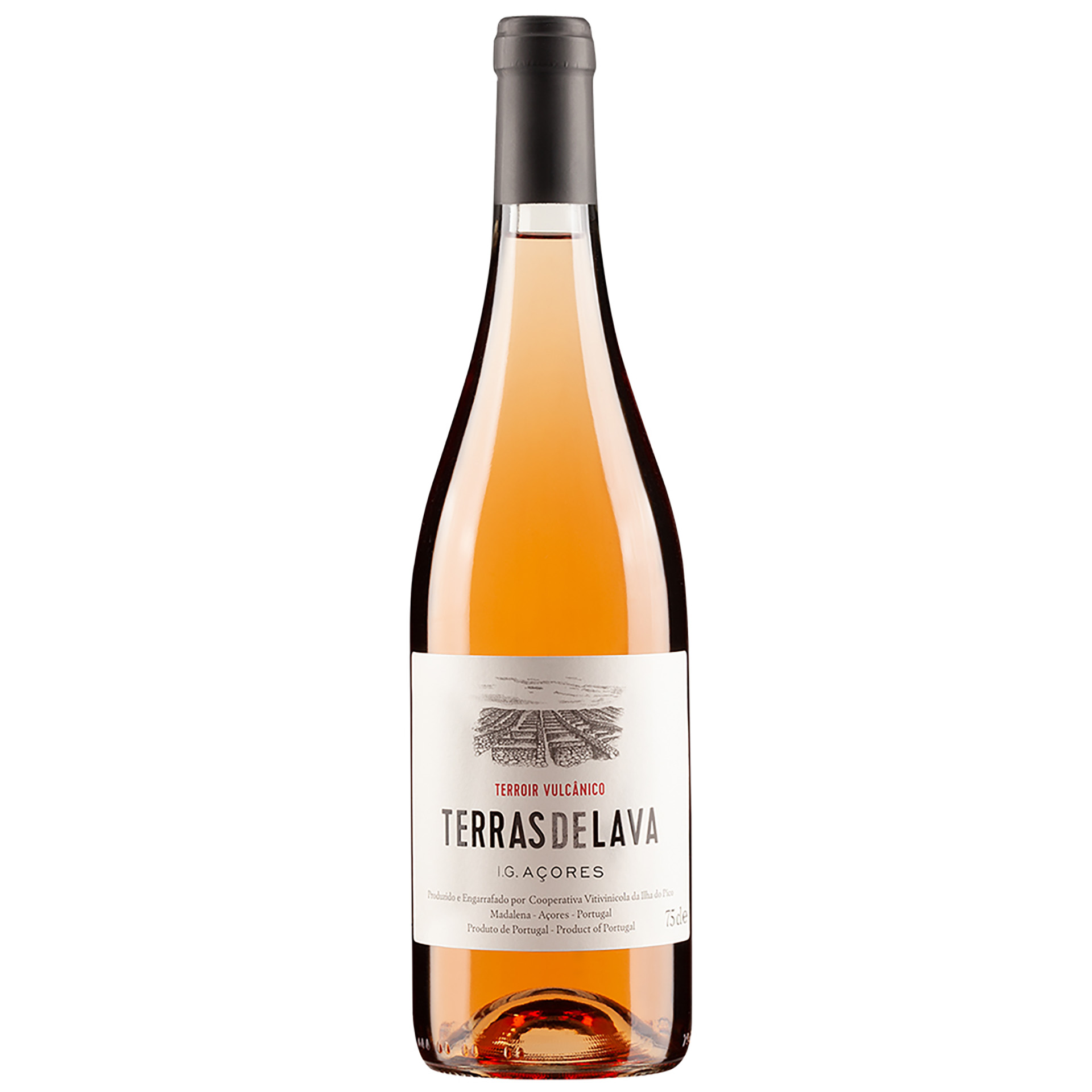 Rose Wine Terras De Lava 2023 75Cl 11,5%