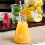 Erlenmeyer Flask Narrow Neck 250Ml