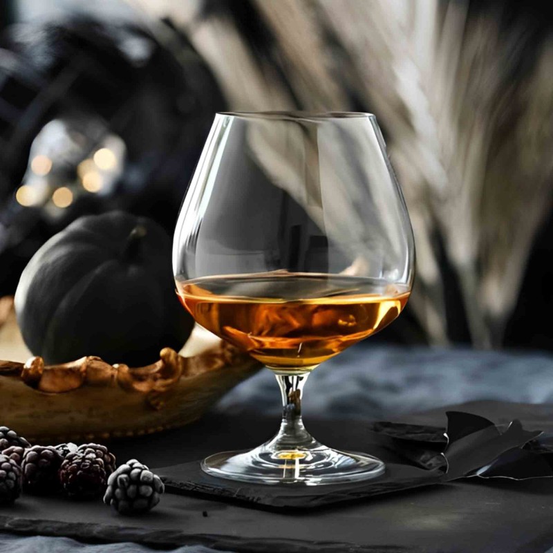 Balloon Chalice 55Cl Harmony