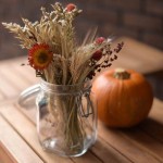 Conserve Jar 1L With Wire