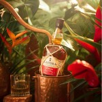 Rum Planteray Special Dry Xaymaca 70Cl 43%