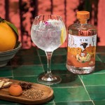 Gin Etsu Double Orange 70Cl 43%