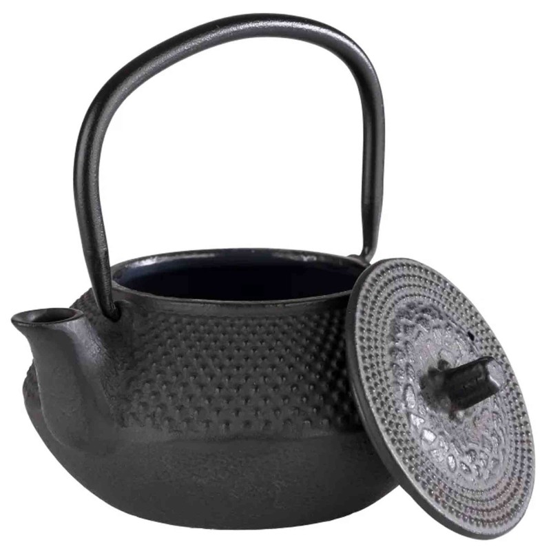 Iron Teapot Asia 300Ml