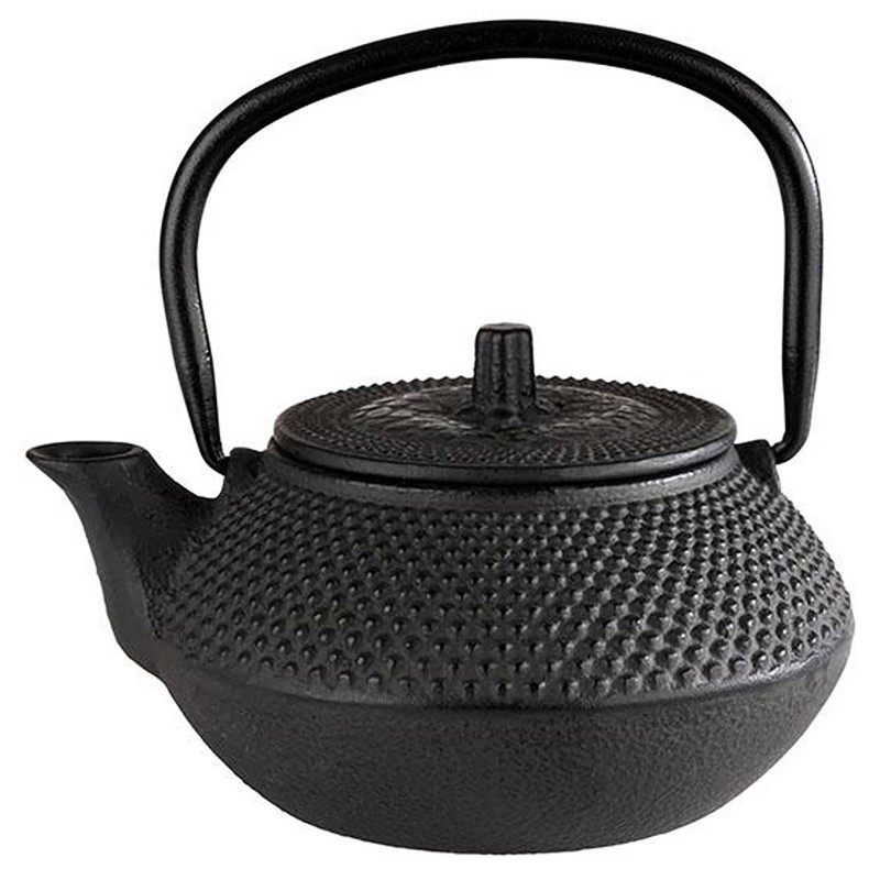 Iron Teapot Asia 300Ml