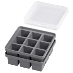 Ice Cube Maker With Lid 2 Pcs