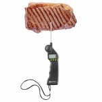 Digital Thermometer With Foldable Probe