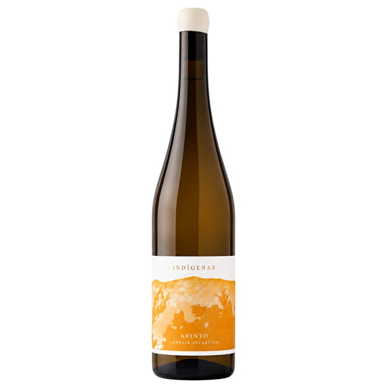 White Wine Tojo Arinto Indigenas 2023 75Cl 11,5%