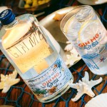 Gin Mg Brisa 70Cl 40%
