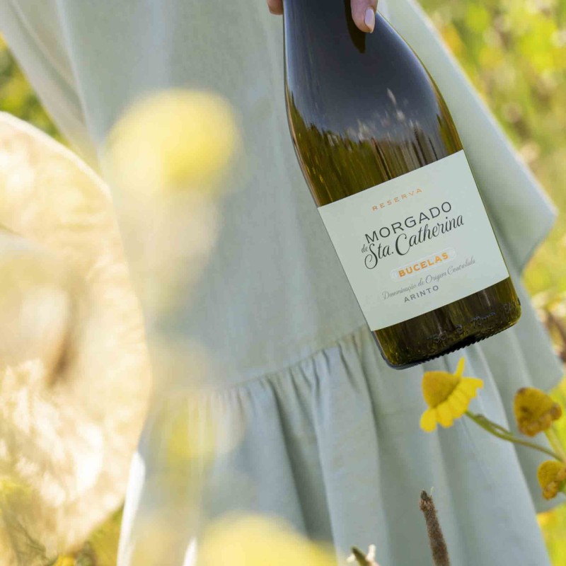 White Wine Morgado Sta Catherina 2023 75Cl 13%