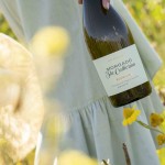 White Wine Morgado Sta Catherina 2023 75Cl 13%