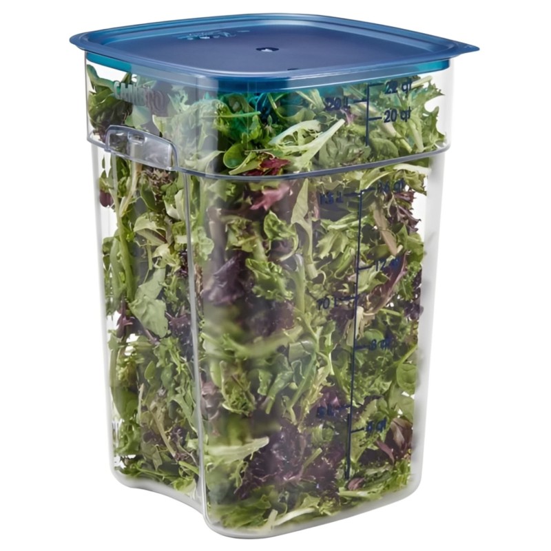 Camsquare Freshpro Lid 11.4L, 17L And 19L Blue Polypropylene