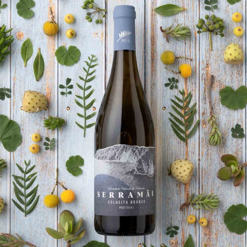 Vinho Branco Serra M�e Colheita 2024 75Cl 12,5%