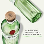 Gin Tanqueray N� Ten 70Cl