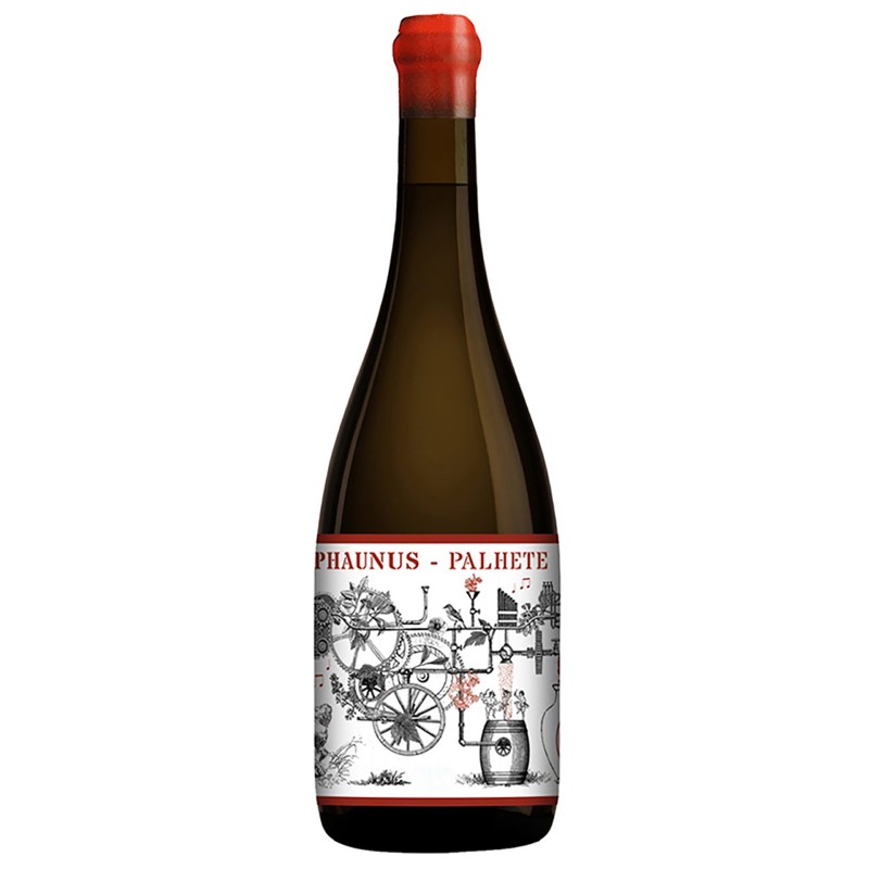 Wine Aphros Phaunus Amphora Palhete 2023 75Cl 11%