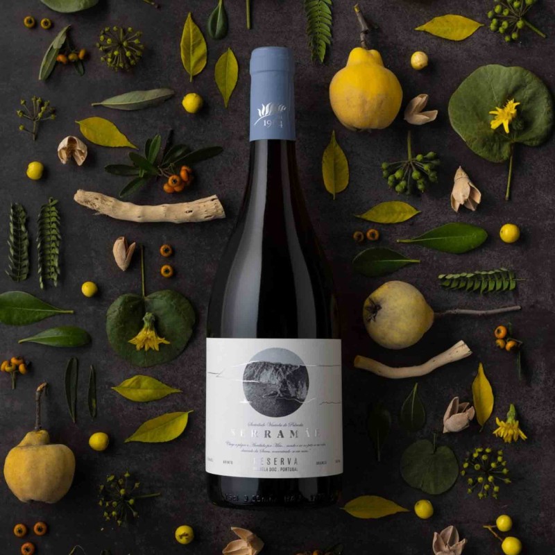 Vinho Branco Serra Mãe Reserva 2023 75Cl 12,5%
