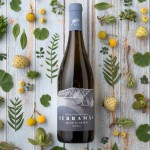 Vinho Branco Serra M�e Colheita 2024 75Cl 12,5%