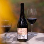 Vinho Tinto Espor�o Reserva 2023 75Cl 14%